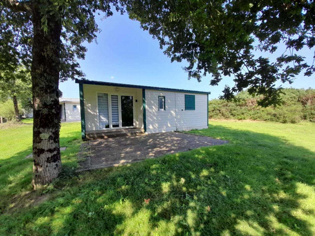 Chalet 4 Personnes Au Calme Lejlighed Sulniac Eksteriør billede